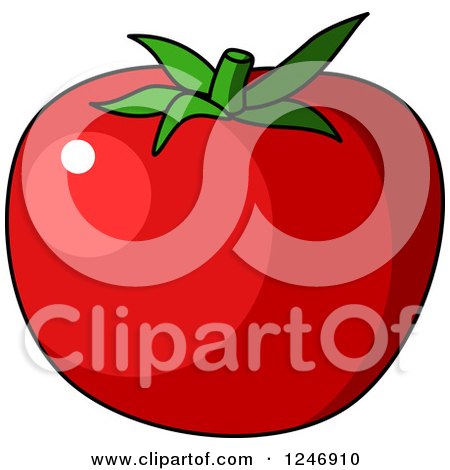 Clipart of a Tomato - Royalty Free Vector Illustration by Vector Tradition SM