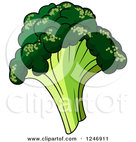 Clipart of Broccoli - Royalty Free Vector Illustration by Vector Tradition SM