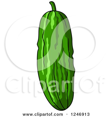 Clipart of a Cucumber - Royalty Free Vector Illustration by Vector Tradition SM
