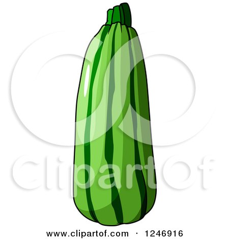 Clipart of a Zucchini - Royalty Free Vector Illustration by Vector Tradition SM