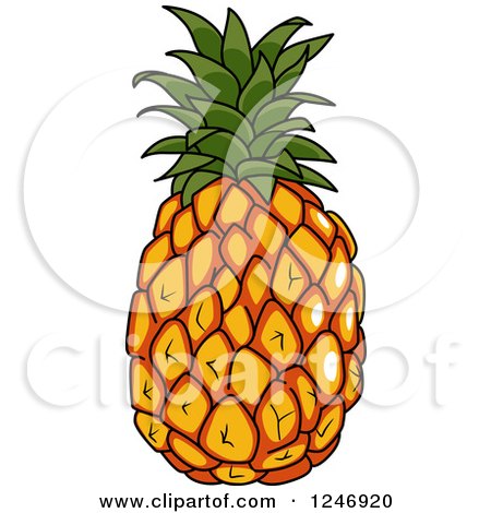 Clipart of a Pinepaple - Royalty Free Vector Illustration by Vector Tradition SM