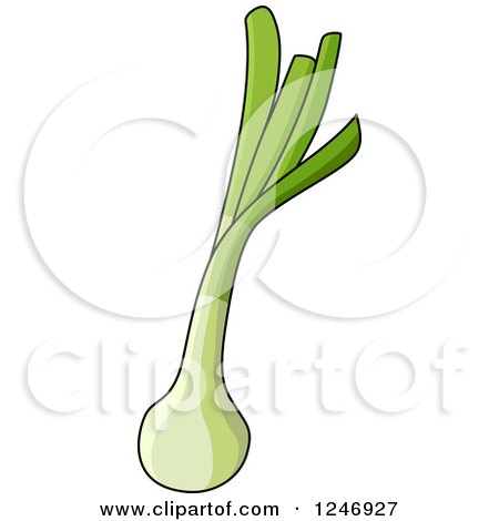 Clipart of a Leek - Royalty Free Vector Illustration by Vector Tradition SM