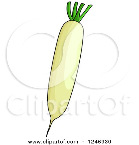 Clipart of a Daikon Radish - Royalty Free Vector Illustration by Vector Tradition SM