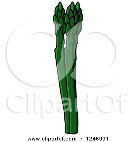 Clipart of Asparagus - Royalty Free Vector Illustration by Vector Tradition SM