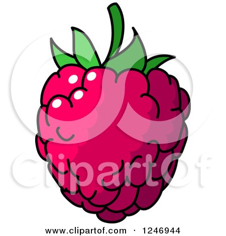 Clipart of a Raspberry - Royalty Free Vector Illustration by Vector Tradition SM