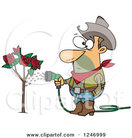 Clipart of a Caucasian Cowboy Man Watering a Rose Bush - Royalty Free Vector Illustration by toonaday