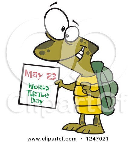 Clipart of a Happy Tortoise Holding a May 23 World Turtle Day Calendar - Royalty Free Vector Illustration by toonaday