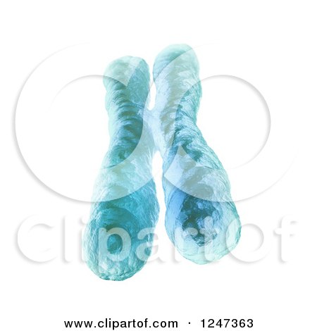 Clipart of a 3d Chromosome on White - Royalty Free Illustration by Mopic