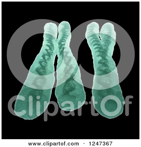 Clipart of 3d Chromosomes X and Y on Black - Royalty Free Illustration by Mopic