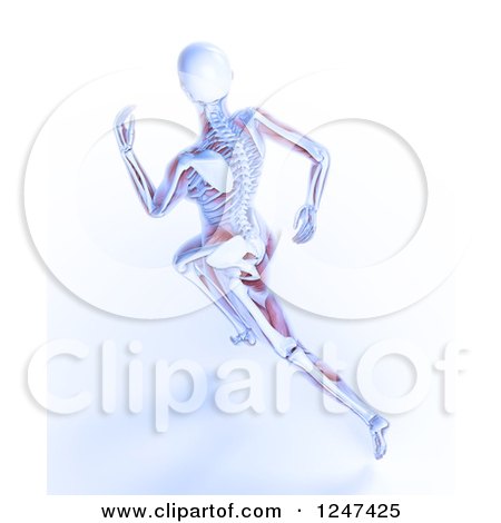 Clipart of a 3d Aerial View of a Female Skeleton Running - Royalty Free Illustration by Mopic