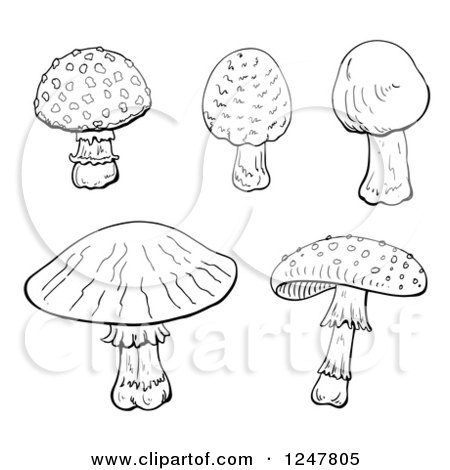 Clipart of Black and White Mushrooms - Royalty Free Vector Illustration by merlinul