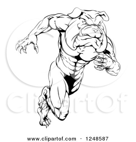 Clipart of a Black and White Muscular Bulldog Mascot Running Upright - Royalty Free Vector Illustration by AtStockIllustration