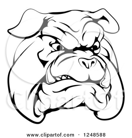 Clipart of a Black and White Snarling Bulldog Mascot Face - Royalty Free Vector Illustration by AtStockIllustration