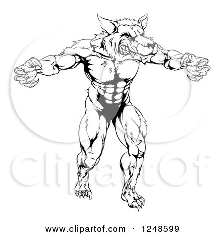 Clipart of a Black and White Muscular Wolf Mascot Standing Upright - Royalty Free Vector Illustration by AtStockIllustration