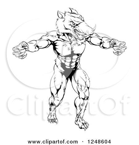 Clipart of a Black and White Muscular Aggressive Boar Mascot - Royalty Free Vector Illustration by AtStockIllustration