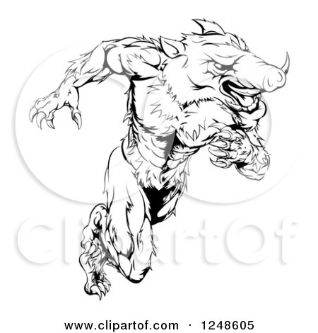 Clipart of a Black and White Muscular Aggressive Boar Mascot Running Upright - Royalty Free Vector Illustration by AtStockIllustration
