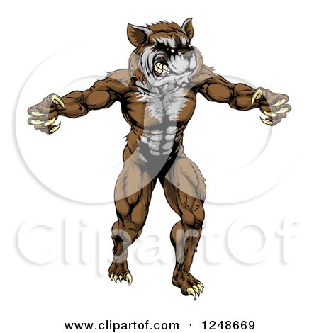 Clipart of a Muscular Raccoon Mascot Standing Upright - Royalty Free Vector Illustration by AtStockIllustration
