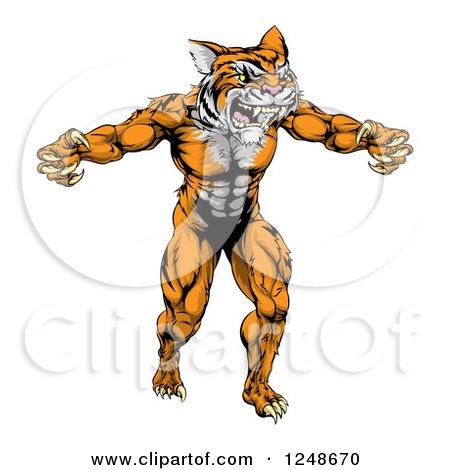 Clipart of a Muscular Tiger Mascot Running Upright - Royalty Free Vector Illustration by AtStockIllustration