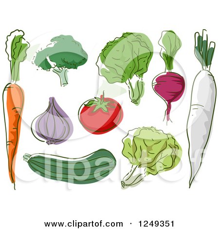 Clipart of Sketched Healthy Vegetables - Royalty Free Vector Illustration by BNP Design Studio