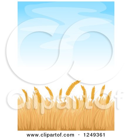 Clipart of a Wheat Field and Blue Sky Background - Royalty Free Vector Illustration by BNP Design Studio