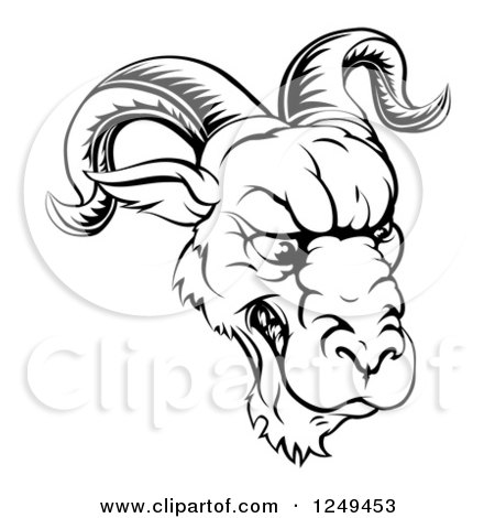 Clipart of a Black and White Snarling Ram Sports Mascot - Royalty Free Vector Illustration by AtStockIllustration