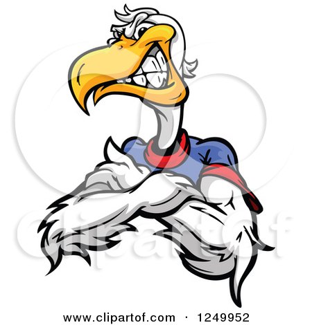 Clipart of a Tough Angry Pelican Mascot with Folded Arms and a T Shirt - Royalty Free Vector Illustration by Chromaco