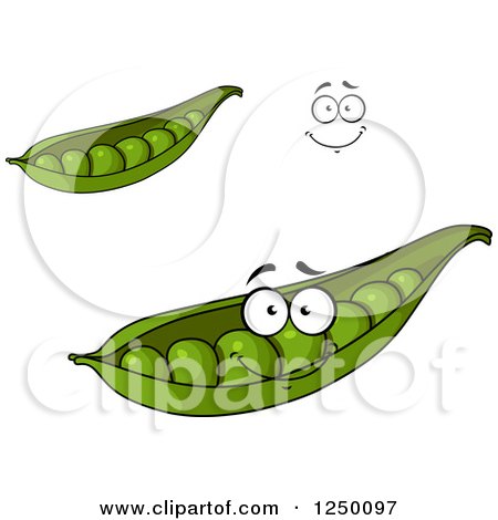 Clipart of Pea Pods - Royalty Free Vector Illustration by Vector Tradition SM