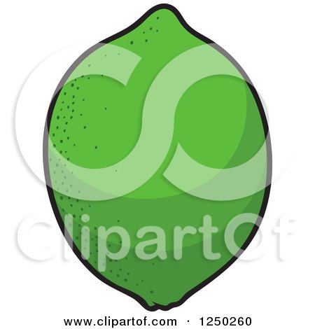 Clipart of a Green Lime - Royalty Free Vector Illustration by Vector Tradition SM