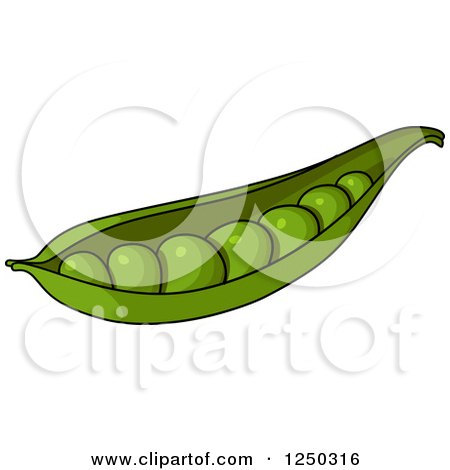 Clipart of a Pea Pod - Royalty Free Vector Illustration by Vector Tradition SM