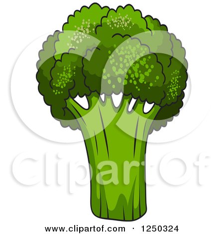 Clipart of Green Broccoli - Royalty Free Vector Illustration by Vector Tradition SM