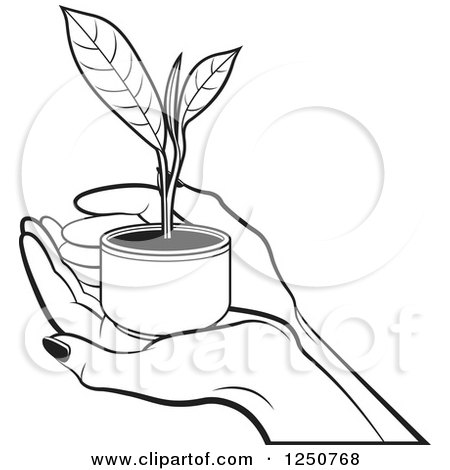 Clipart of Black and White Hands Holding a Tea Leaf Plant - Royalty Free Vector Illustration by Lal Perera