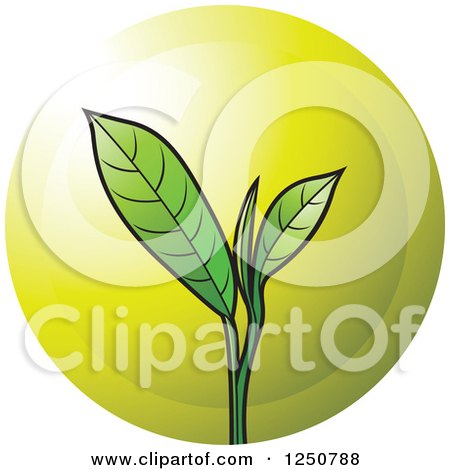 Clipart of a Green Tea Leaf Plant and Gold Circle - Royalty Free Vector Illustration by Lal Perera