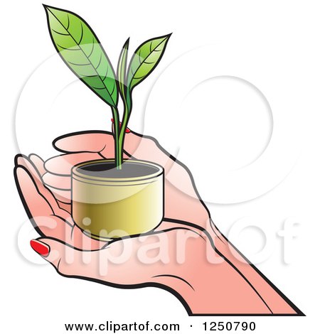 Clipart of Hands Holding a Tea Leaf Plant - Royalty Free Vector Illustration by Lal Perera