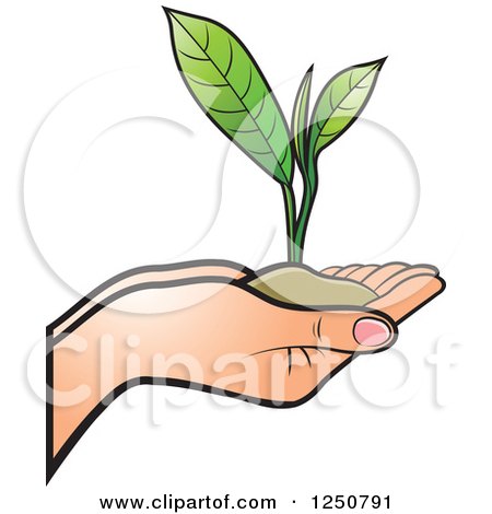 Clipart of Hands Holding a Tea Leaf Plant and Soil - Royalty Free Vector Illustration by Lal Perera