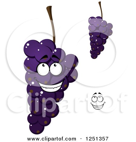 Clipart of Purple Grapes - Royalty Free Vector Illustration by Vector Tradition SM