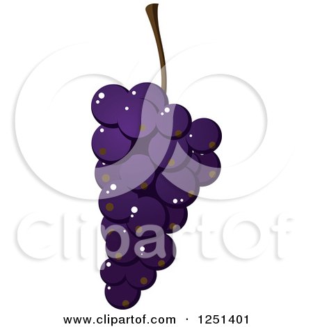 Clipart of a Bunch of Purple Grapes - Royalty Free Vector Illustration by Vector Tradition SM