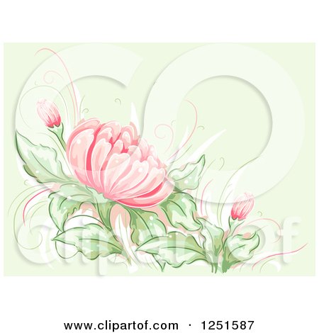 Clipart of a Green Background with Pink Lilies - Royalty Free Vector Illustration by BNP Design Studio