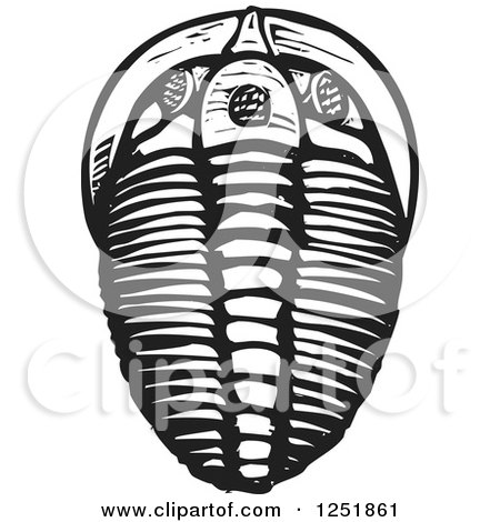 Clipart of a Black and White Woodcut Trilobite Fossil - Royalty Free Vector Illustration by xunantunich