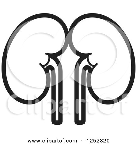 Clipart of Black and White Kidneys - Royalty Free Vector Illustration by Lal Perera