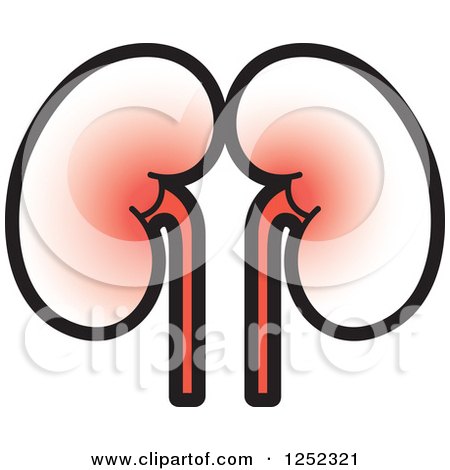 Clipart of Kidneys - Royalty Free Vector Illustration by Lal Perera