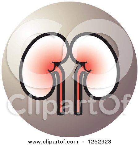 Clipart of a Kidneys Icon - Royalty Free Vector Illustration by Lal Perera