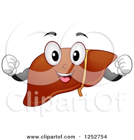 Clipart of a Strong Healthy Liver Flexing - Royalty Free Vector Illustration by BNP Design Studio