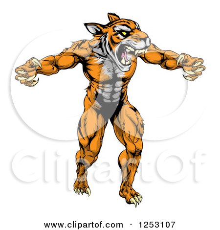 Clipart of a Muscular Fierce Tiger Man Attacking - Royalty Free Vector Illustration by AtStockIllustration