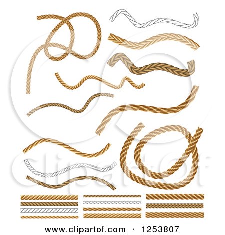 Clipart of Rope Design Elements - Royalty Free Vector Illustration by vectorace