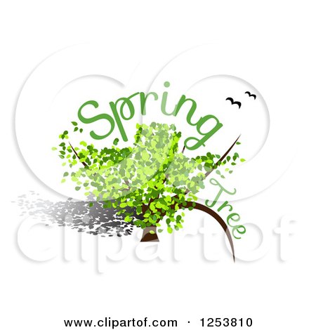 Clipart of a Green Spring Tree with Text and Birds - Royalty Free Vector Illustration by vectorace