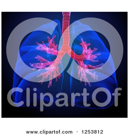 Clipart of 3d Human Lungs and Visible Bronchi over Black - Royalty Free Illustration by Mopic