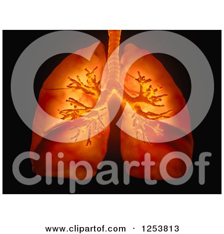 Clipart of 3d Human Lungs and Visible Bronchi over Black - Royalty Free Illustration by Mopic