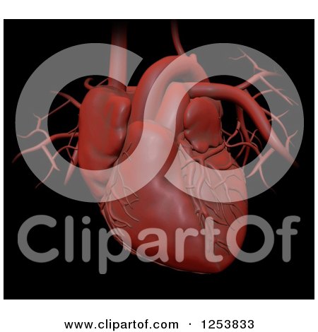 Clipart of a 3d Human Heart over Black - Royalty Free Illustration by Mopic