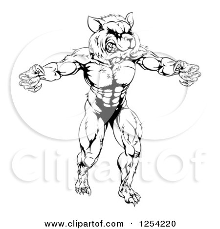 Clipart of a Black and White Muscular Raccoon Mascot Standing Upright - Royalty Free Vector Illustration by AtStockIllustration