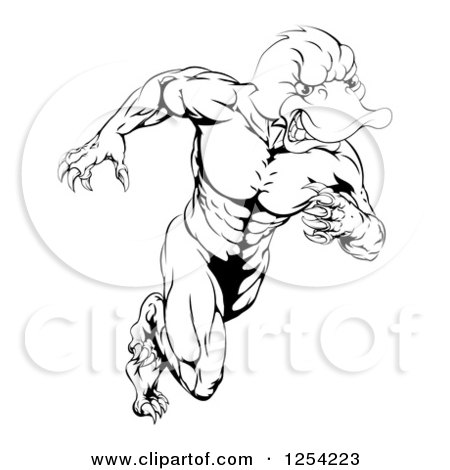 Clipart of a Black and White Aggressive Muscular Duck Mascot Running - Royalty Free Vector Illustration by AtStockIllustration